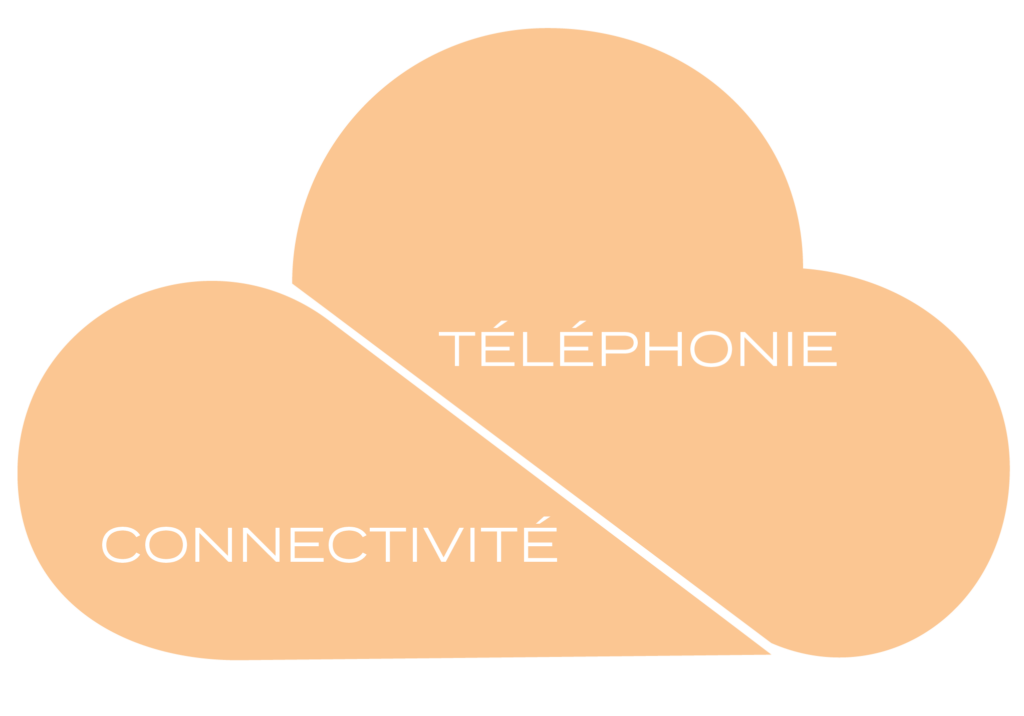 Téléphonie Connectivité