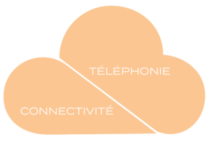 Téléphonie Connectivité